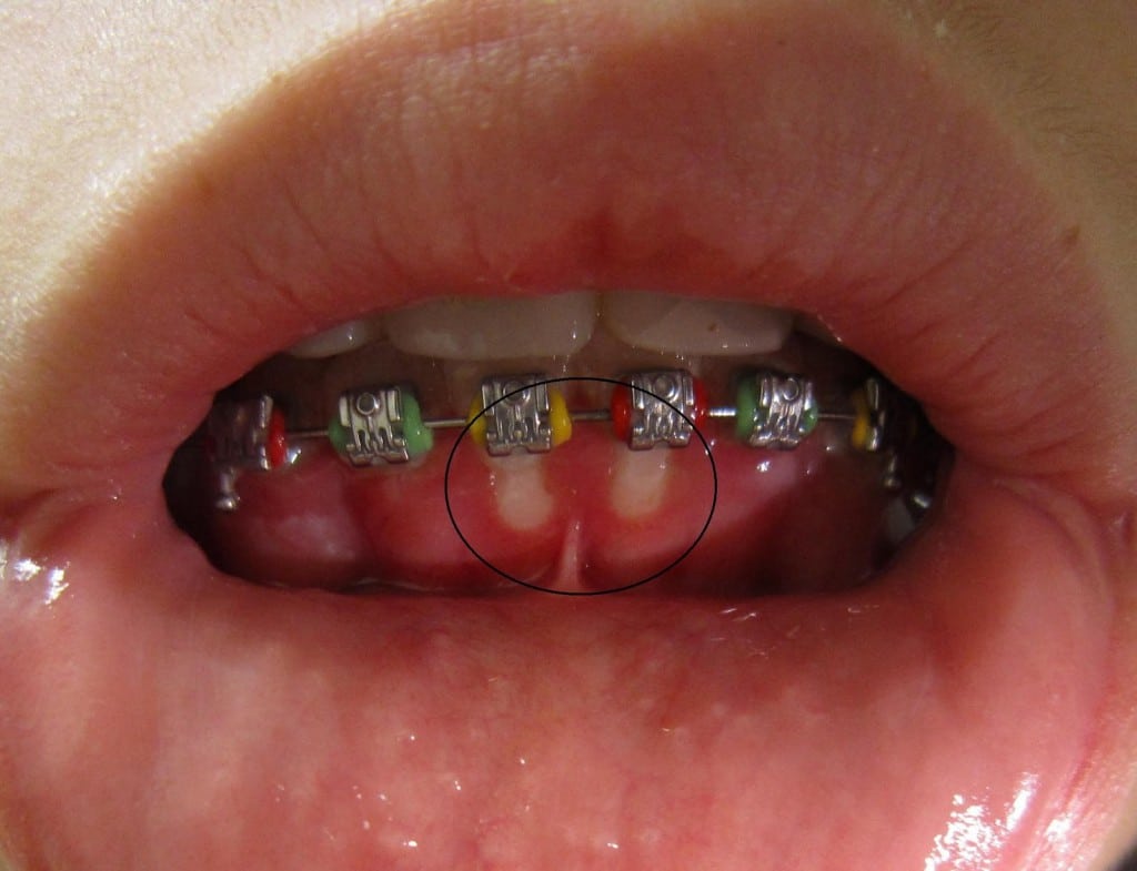 image2 (4)